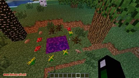 The Twilight Forest Mod 1.16.5/1.12.2 (An Overview into a Wonderland) - 9Minecraft.Net