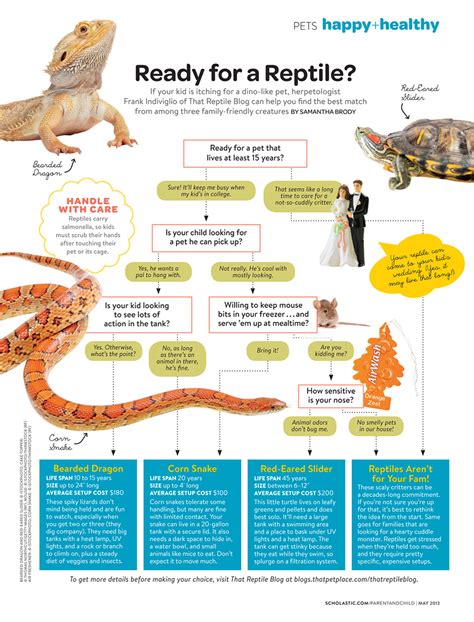 Ready for a Reptile?