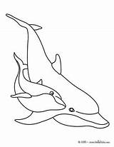 Dolphins Coloring Page For Kids sketch template