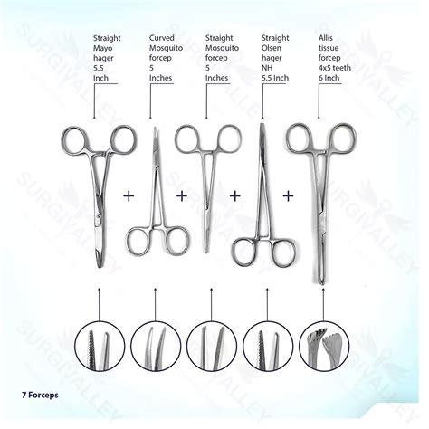 Biology Lab Anatomy Dissecting Set