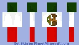 Mexican Flag Minecraft Skin