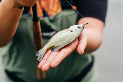 Using Tenkara as an Introduction to Fishing | Tenkara Angler