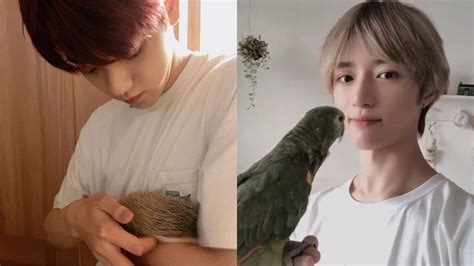 TXT members and their most unique set of pets: Beomgyu's Parrot, Soobin ...