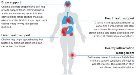 Choline Tablets Benefits - Brain Mind Article