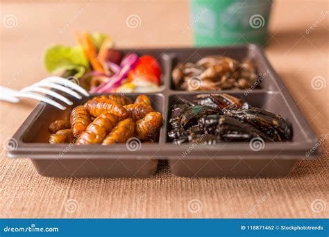 Insect food collection stock photo. Image of animal - 118871462