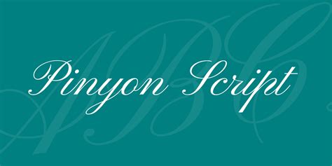 Pinyon Script Font · 1001 Fonts | Best calligraphy fonts, Free calligraphy fonts, Script fonts