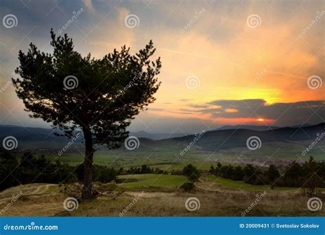 HDR landscape stock image. Image of environment, tranquil - 20009431