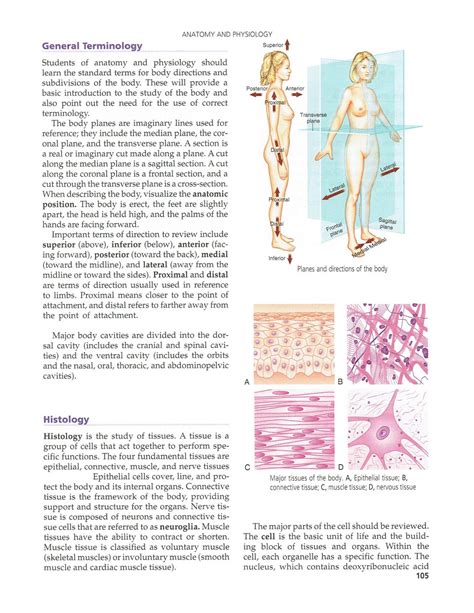 Anatomy & physiology required - ANAT 35 - Studocu