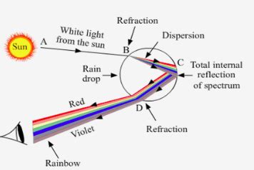 What is a rainbow? Draw a labelled diagram to show the formation of a ...