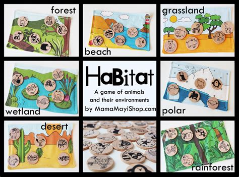 Habitat | Habitats, Animal habitats, Preschool activities