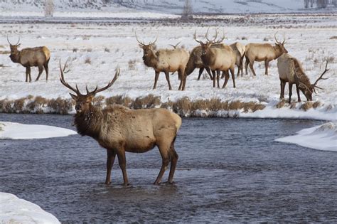 15 Jaw-Dropping Places to Visit in Wyoming