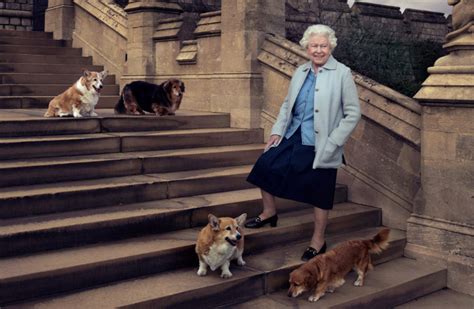 How Queen Elizabeth II Became a Corgi Breeding Legend - Rocky Kanaka