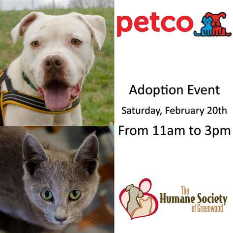 Adoptable Dogs and Cats at Petco Saturday, February 20th, 11a to 3p – The Humane Society of ...