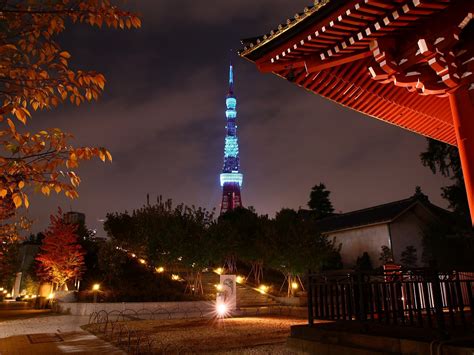 japan, Tokyo, Trees, Cityscapes, Tower, Japanese, City, Lights, Tokyo ...