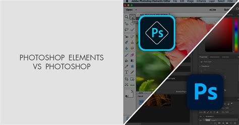 Photoshop Elements vs Photoshop: Which Is Better?