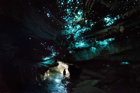 Glow Worm Cave New Zealand : Waitomo Glowworm Caves New Zealand ...