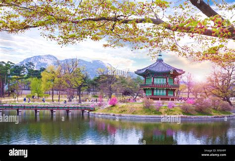 gyeongbokgung palace in spring, South Korea Stock Photo - Alamy