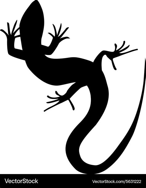 Beautiful monochrome lizard lizard silhouette Vector Image