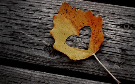 Love In Autumn Wallpapers - Wallpaper Cave