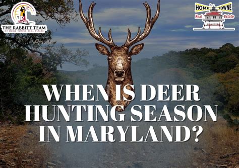 Deer Hunting Seasons in Maryland: Dates and Regulations