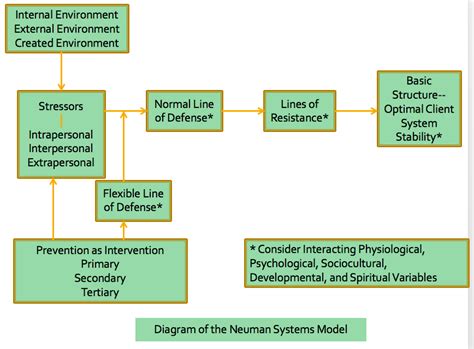 Neuman’s Systems Model | Nursology