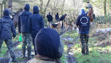 Suffolk And Essex Hunt Saboteurs | A Radical Guide