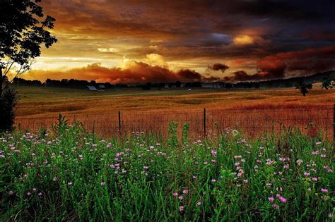 free download | Country farm at sunset, pretty, glow, grass, bonito, sunset, clouds, countryside ...