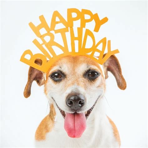 Printable Birthday Cards Dogs - Printable And Enjoyable Learning