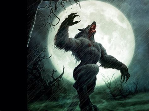HD wallpaper: werewolf howling under full moon wallpaper, Dark, nature, animal wildlife ...
