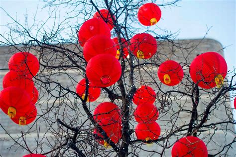 Thousands of Chinese New Year lanterns decorating Liverpool city centre streets - Liverpool Echo