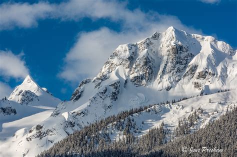 Fresh Snow | Jens Preshaw Photography