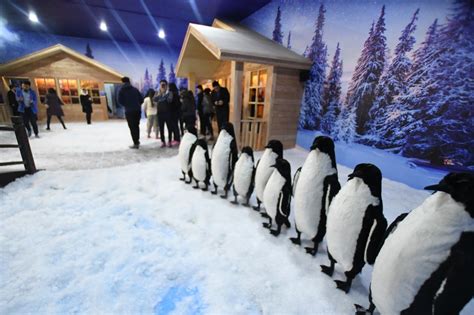 IN PHOTOS: Experience winter wonderland at this Pasay City attraction | ABS-CBN News