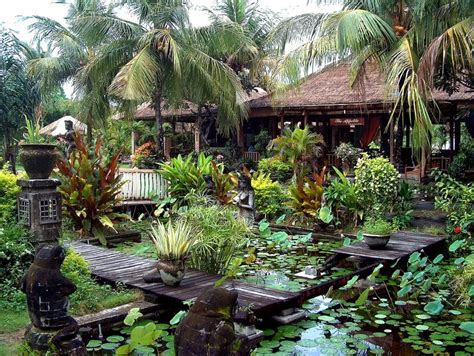 Indonesia - Bali - Tropical Garden - 1 | Bali garden, Tropical garden design, Tropical garden