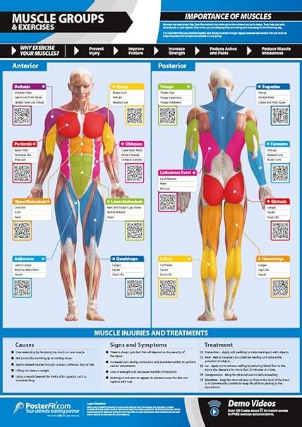 Workout Diagram Muscle | Blog Dandk