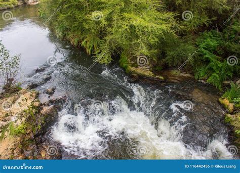 Taupo geothermal park stock photo. Image of activity - 116442456