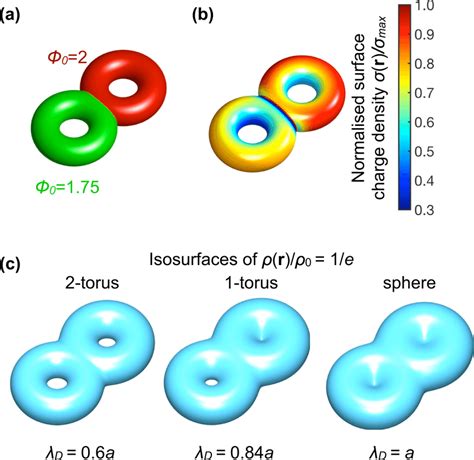 Double layer topology of a Janus double torus. (a) Geometry of a Janus... | Download Scientific ...