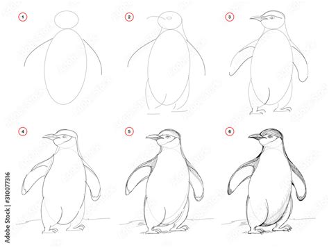 How To Draw A Realistic Penguin Step By Step For Kids