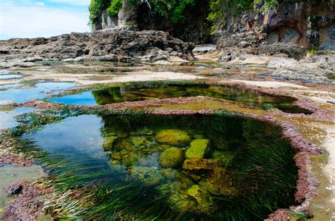 Botanical Beach | Travel vancouver island, Botanical beach vancouver island, Vancouver island ...