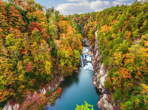 YOUR Guide to Enjoying Fall Colors in North Georgia | Georgia Cabins For You