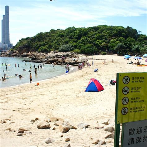 Shark sighting closes Lamma beaches for 24 hours | South China Morning Post