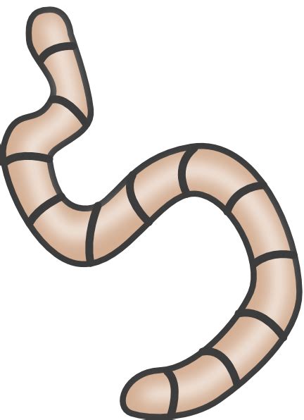 Worm Clip Art at Clker.com - vector clip art online, royalty free & public domain