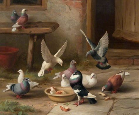 Pigeons Feeding | Art painting, Painting, Birds painting