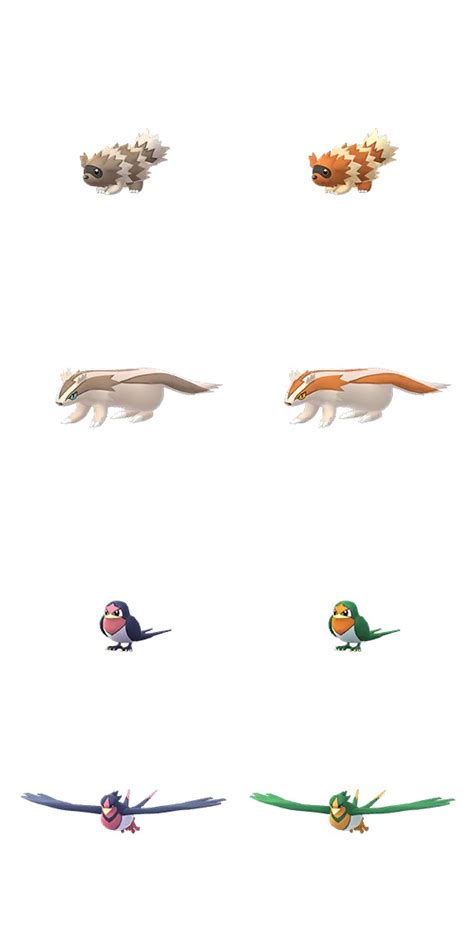 Shiny Zigzagoon, Linoone, Taillow, & Swellow model comparisons (via Chrales) : r/TheSilphRoad