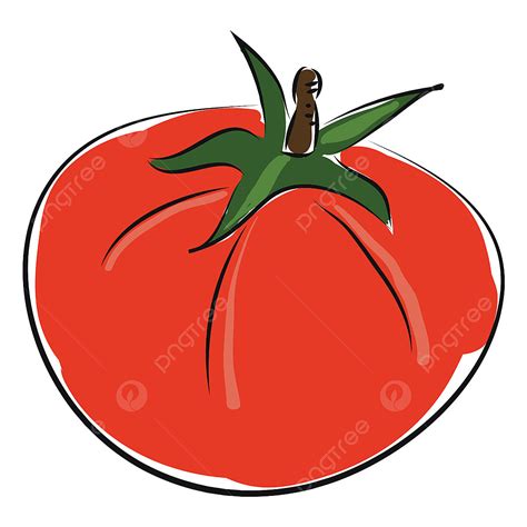 Tomato Cartoon