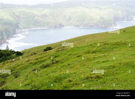 Rolling Hills of Batanes, Philippines Stock Photo - Alamy