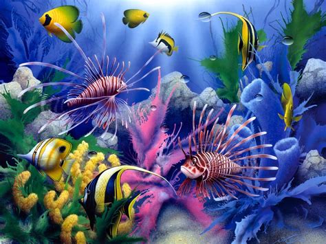 Colorful Underwater Fish Wallpaper - WallpaperSafari