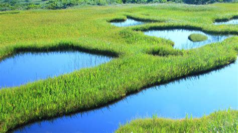 Midagahara wetlands near Tateyama in Toyama Prefecture, Japan | Windows Spotlight Images