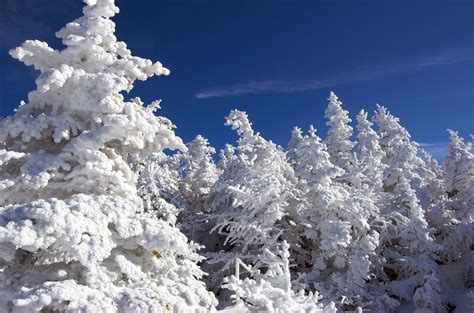 Winter in the Adirondacks | Adirondack Goose Lodge | Lake george ny, Lake george, Adirondacks