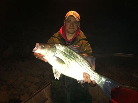 Giant 26.2-inch Wiper Fish Caught at Three Mile Lake