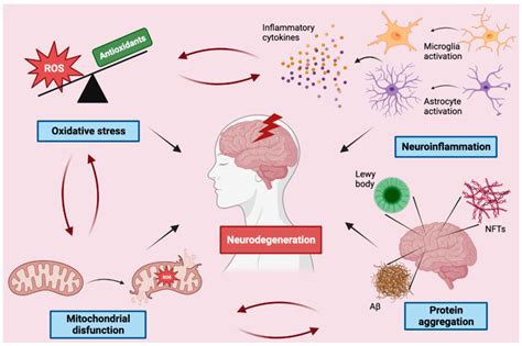 Antioxidants | Free Full-Text | Mechanisms Underlying Neurodegenerative Disorders and Potential ...